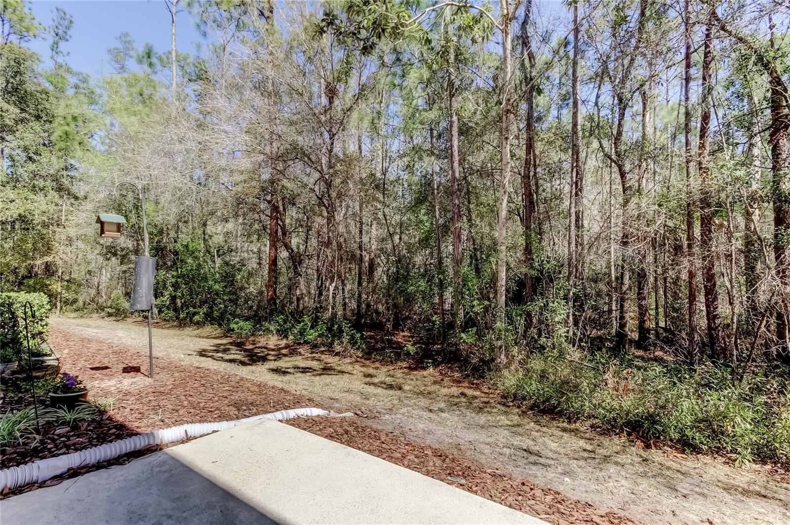 SOUTH HAMPTON - Residential