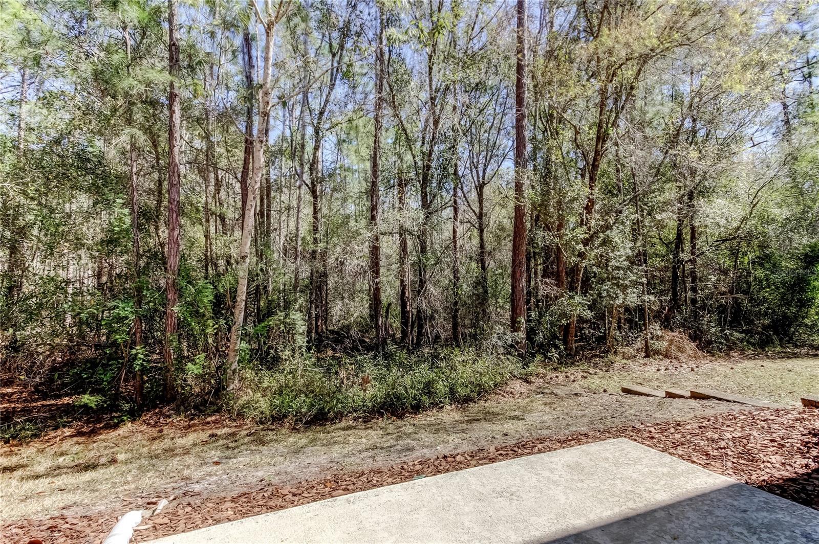 SOUTH HAMPTON - Residential