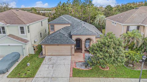 A home in LAND O LAKES