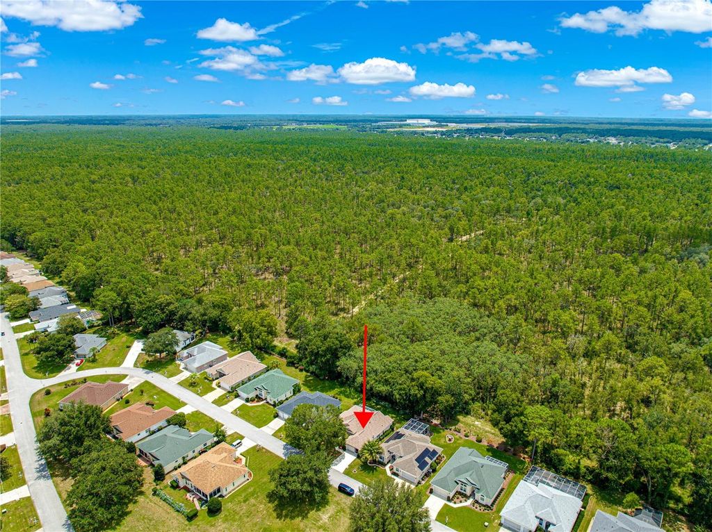 Photo of 6742 SW 117th Street, Ocala, FL 34476 (MLS # OM707173)