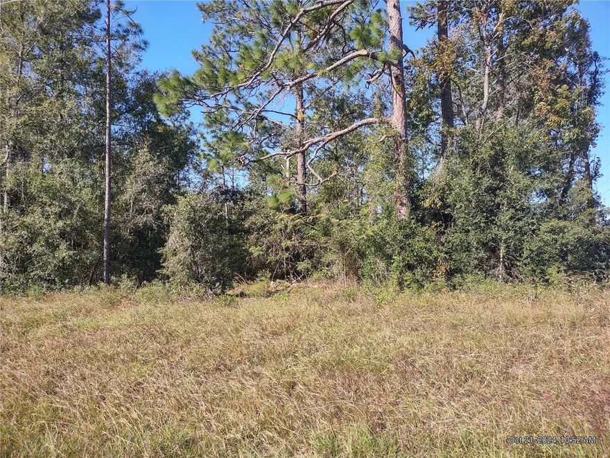 CORNER LOT ON PAVED ROAD! Wooded 1 Acre lot not far from Williston City Limits in an agricultural area. Easy drive to Gainesville, Ocala and
Dunnellon. Lots of outdoor activities in the area like kayaking, snorkeling, hiking, tubing, fishing and hunting. U-Pick blueberry, blackberry farms nearby. Okay for site built or manufactured homes. short distance to WEC, HITS, Black Prong and Goethe Forest.No deed restrictions, no HOA. NEW FIBER OPTIC INTERNET RECENTLY AVAILABLE