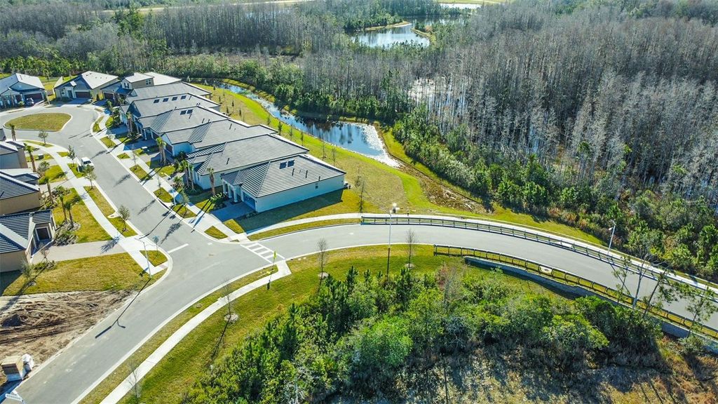 Photo of 17216 Mango Shay Court, Land O Lakes, FL 34638 (MLS # TB8452340)