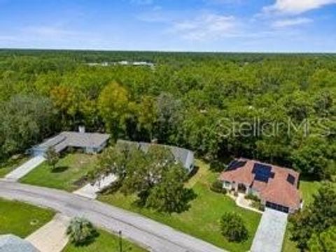 A home in HOMOSASSA