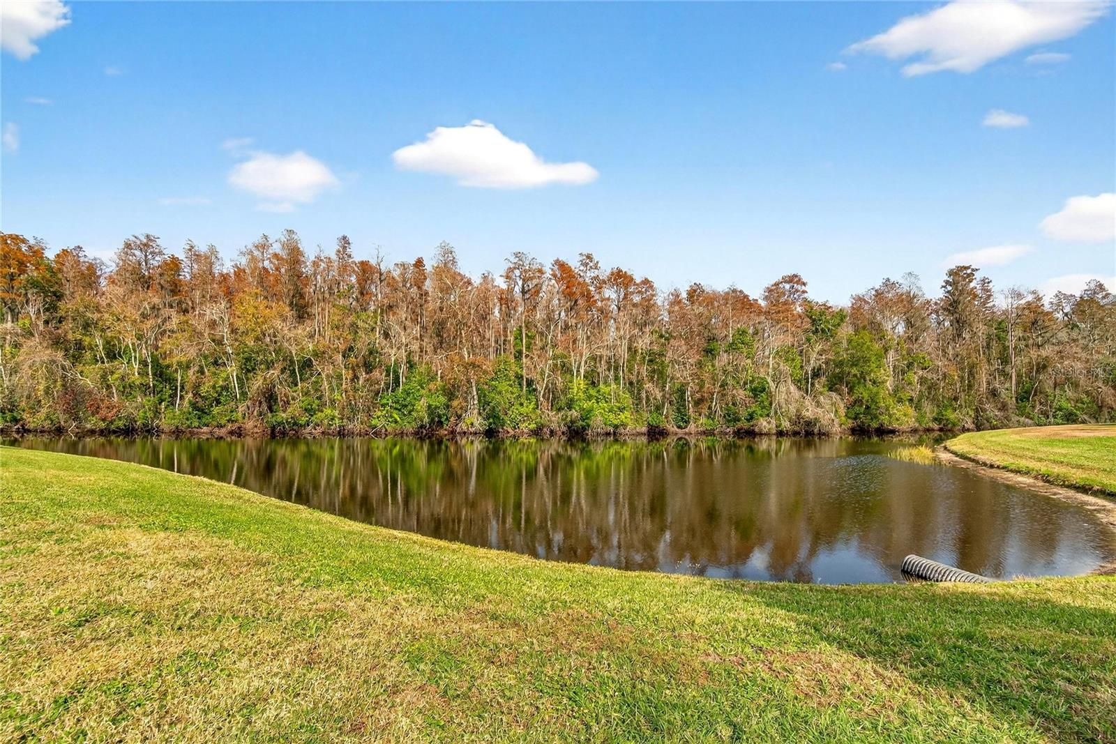 HIGHGATE IV CONDOMINIUM - Residential