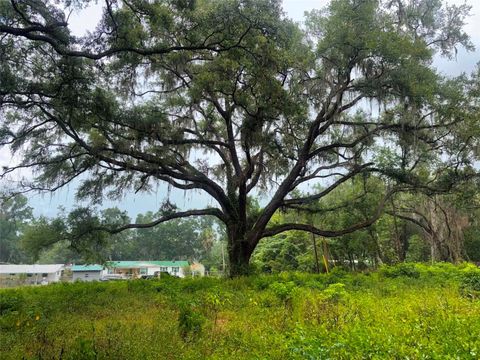 Photo of 6360 SE 145th Place, Summerfield, FL 34491 (MLS # D6147536)