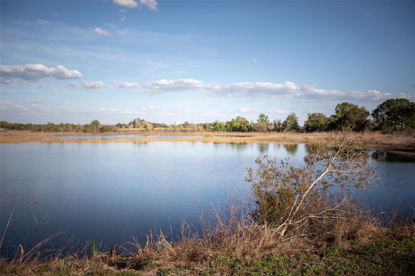 ROYAL HIGHLANDS PH 02-B LT 1317 PB 50 PG - Residential