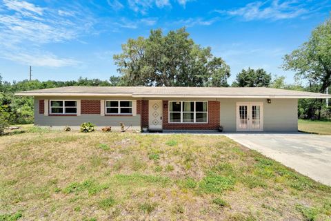 A home in LITHIA