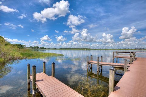 A home in HAINES CITY