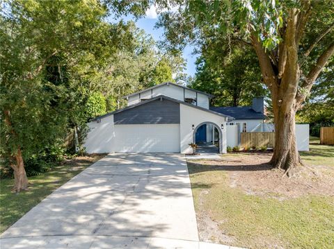 15801 KNOLLVIEW DRIVE TAMPA FL 33624