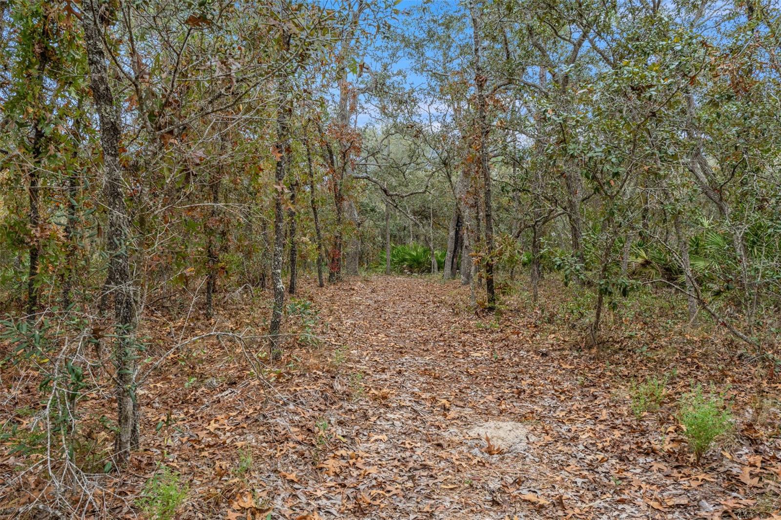 ENZO ESTATES - Residential