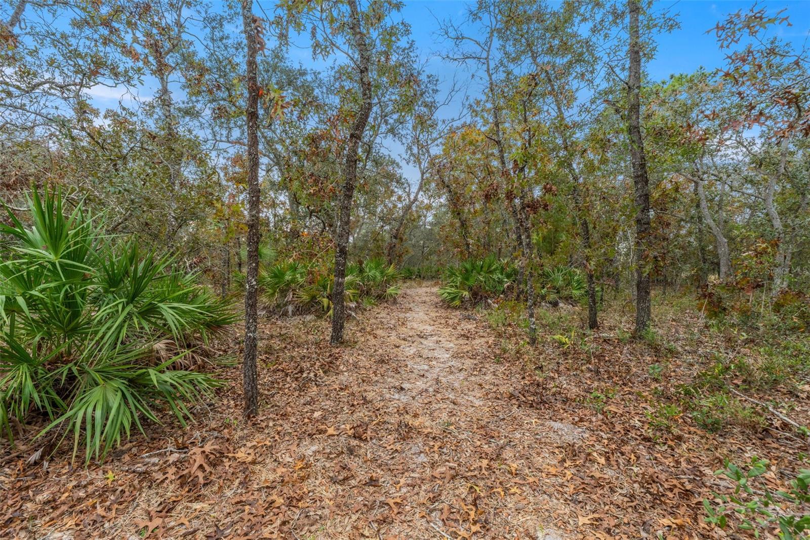 ENZO ESTATES - Residential