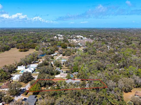 Photo of 893 Bolton Road, New Smyrna Beach, FL 32168 (MLS # NS1087498)
