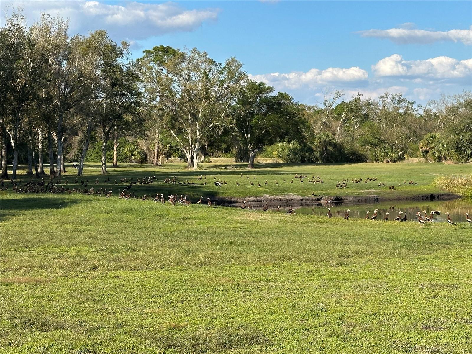 PORT CHARLOTTE SUB 25 - Land