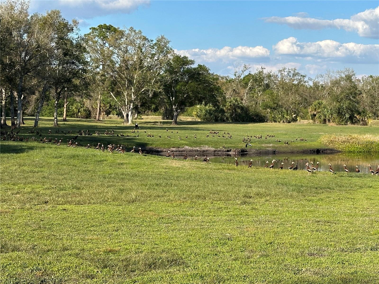 PORT CHARLOTTE SUB 25 - Land