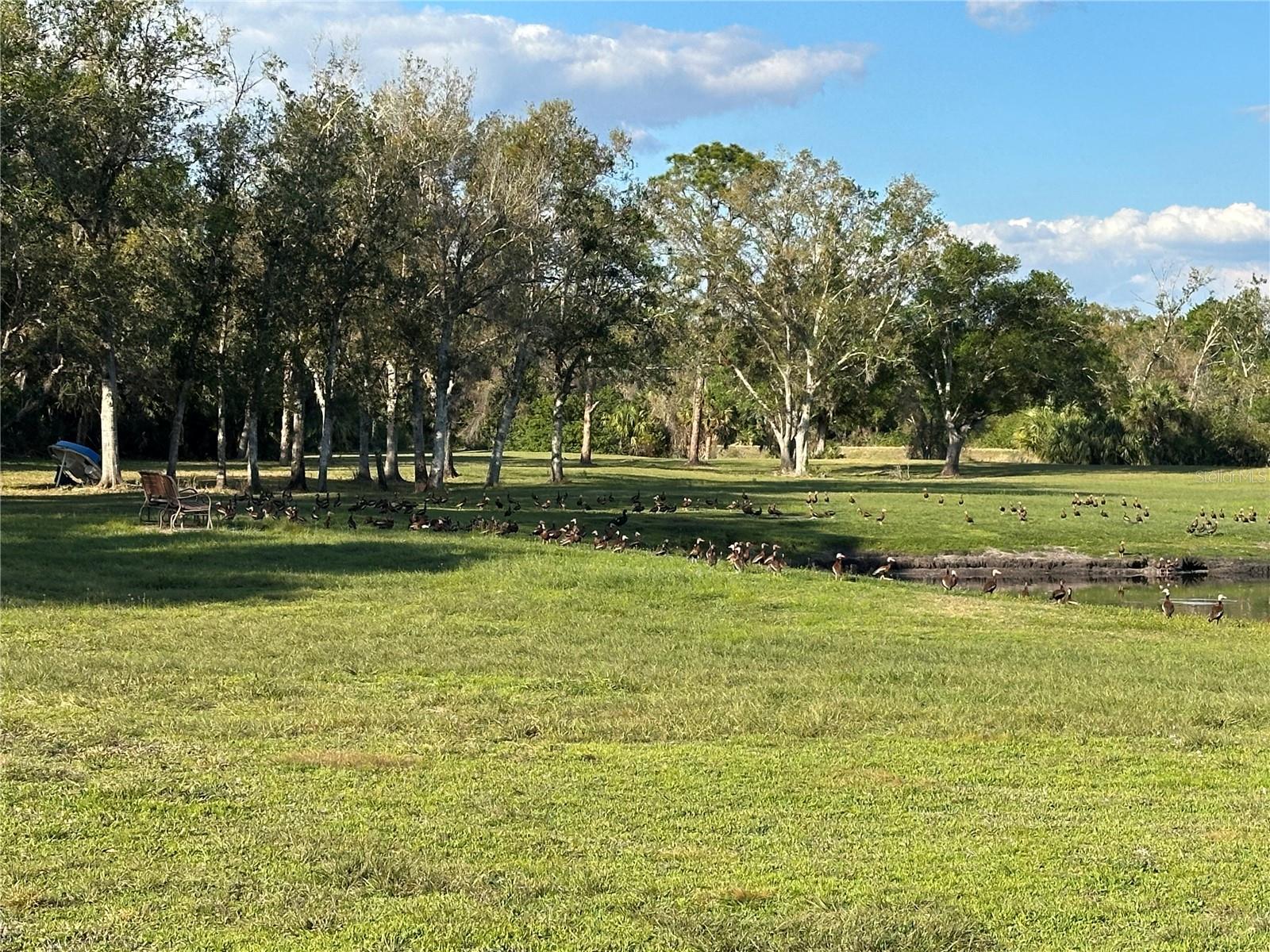 PORT CHARLOTTE SUB 25 - Land