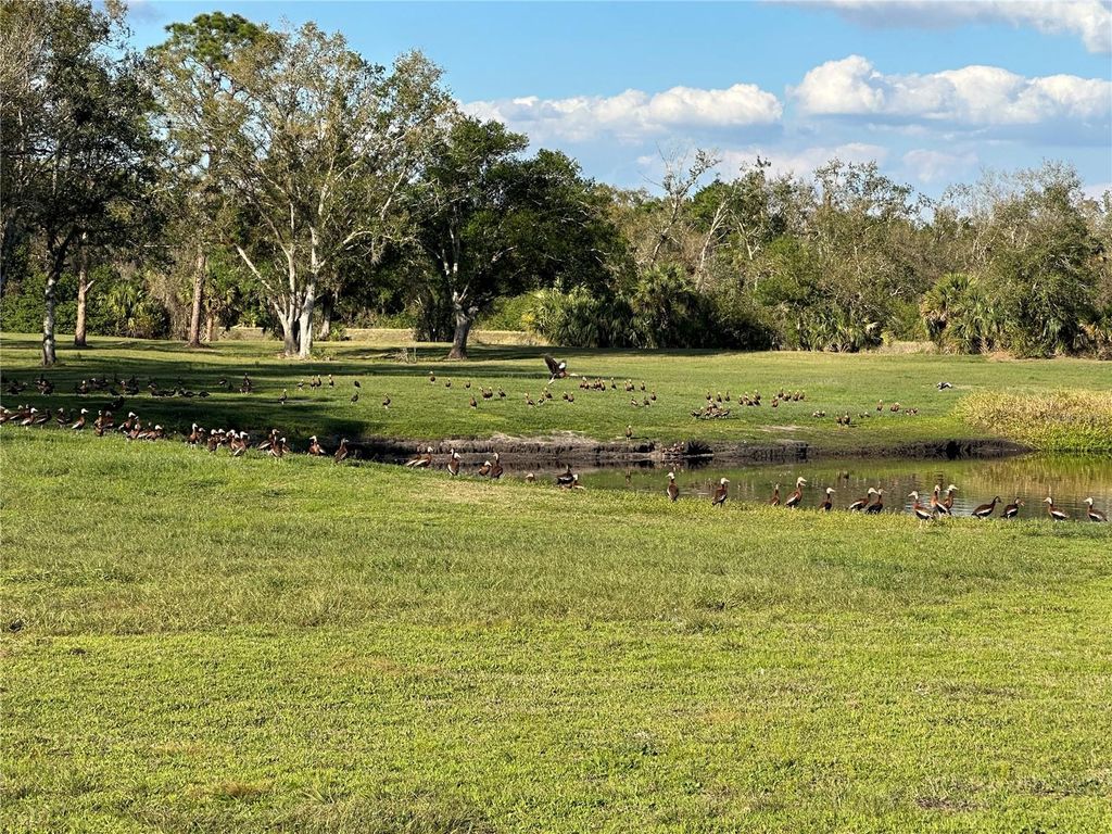 Photo of Musa Road, North Port, FL 34286 (MLS # S5121746)