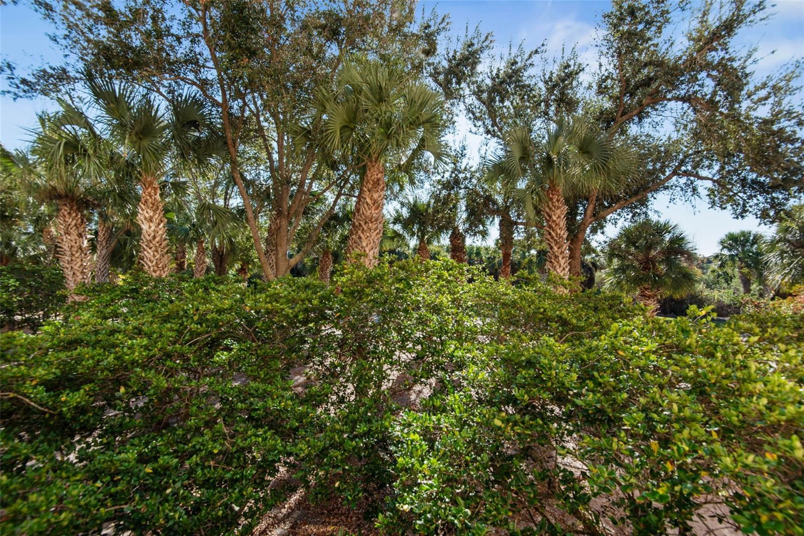 VILLAS HAMMOCK BEACH PH 05 - Residential