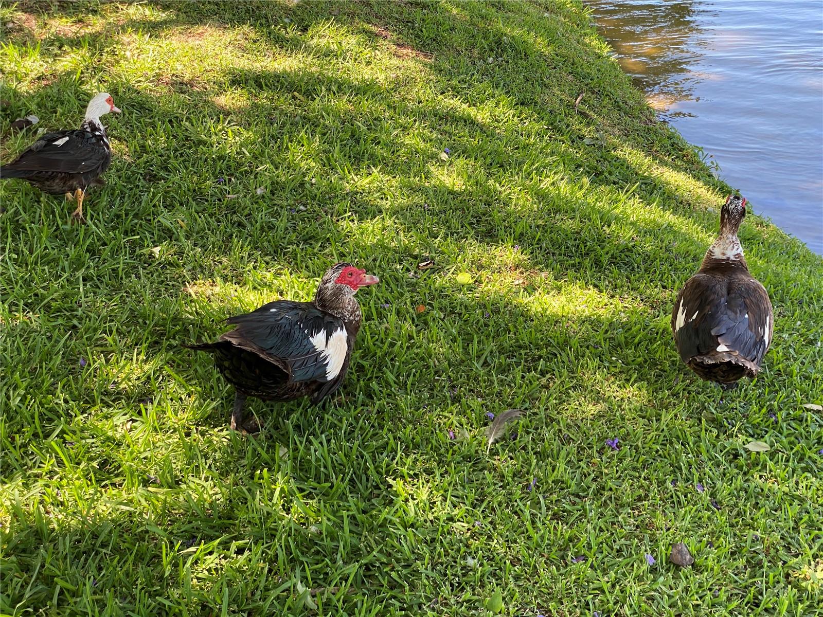 BAYSHORE ON THE LAKE APTS SEC 3 - Residential