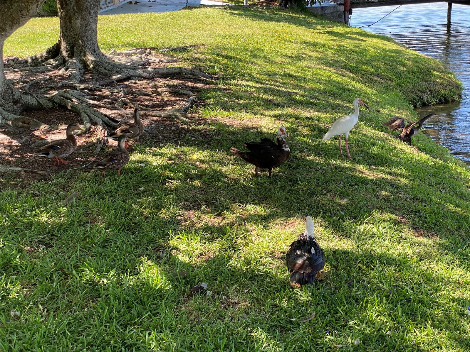 BAYSHORE ON THE LAKE APTS SEC 3 - Residential