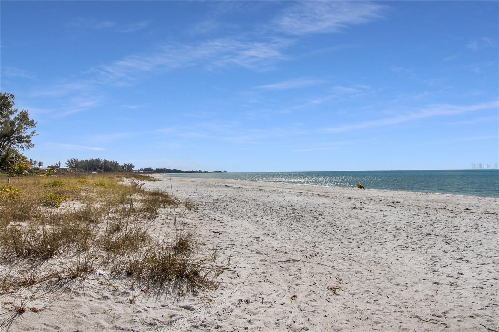 HARBOUR VILLA CLUB AT THE BUCCANEER - Residential