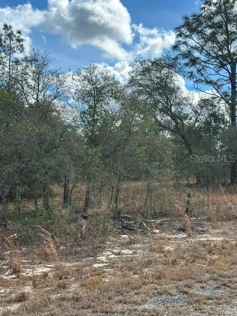 RAINBOW LAKES ESTATE - Land