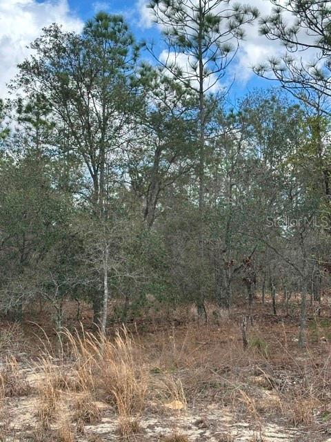 RAINBOW LAKES ESTATE - Land