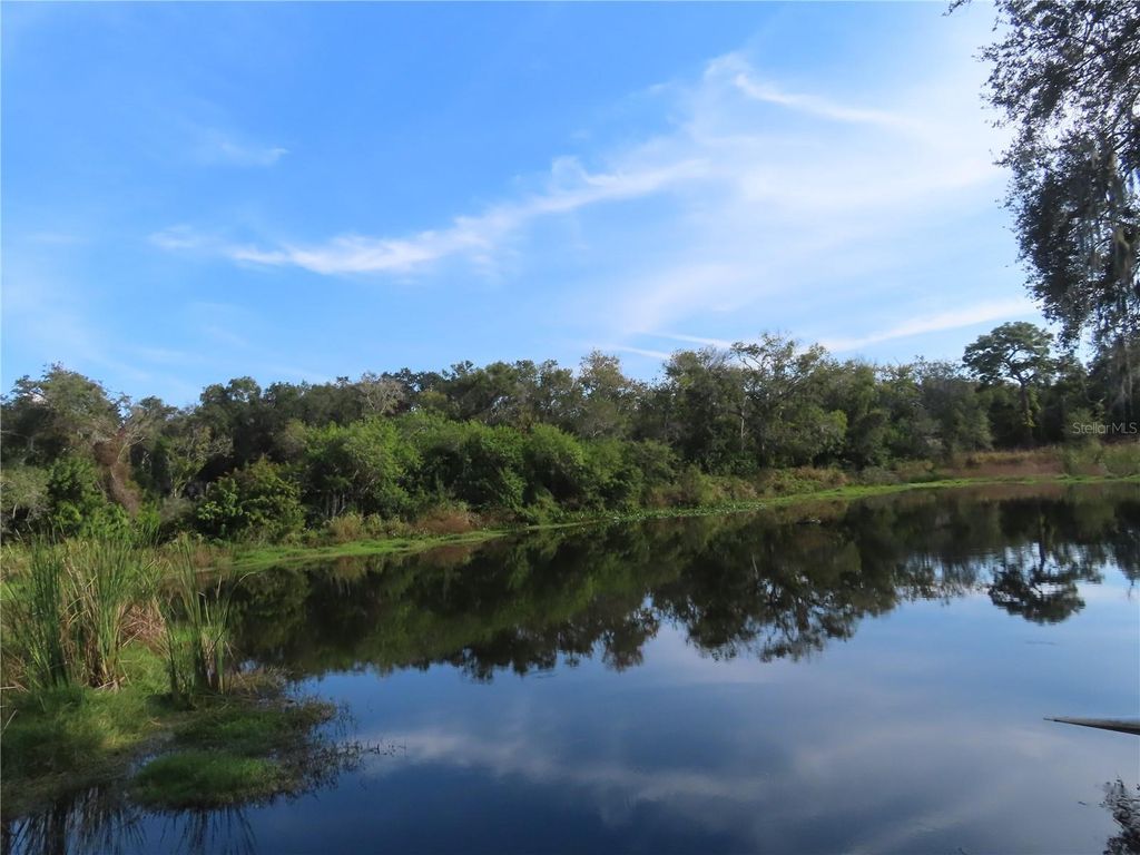 Photo of 2625 State Road 590 #1212, Clearwater, FL 33759 (MLS # TB8451356)