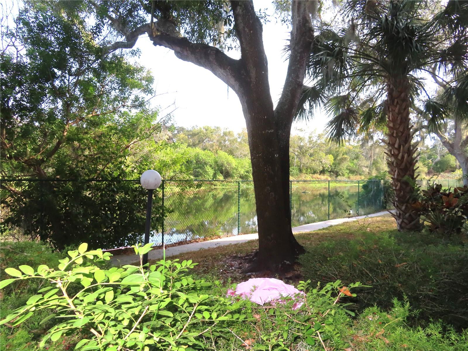 COACHMAN CREEK CONDO - Residential