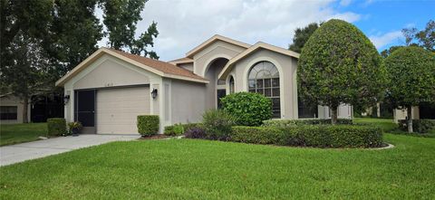 Photo of 11415 Kingstree Court, Spring Hill, FL 34609 (MLS # TB8446780)