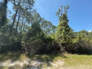 Opportunity awaits with this vacant lot at 337 Palm Way in Georgetown, FL 32139! Located in the peaceful and natural surroundings of Putnam County, this parcel offers a great setting for your future home, weekend getaway, or investment project. With access to nearby lakes, the St. Johns River, and local recreation, this is the perfect spot for nature lovers, boaters, and outdoor enthusiasts. Zoned for residential use—buyer to verify specific zoning, utilities, and building requirements with the county. Don't miss your chance to own a slice of Florida paradise!