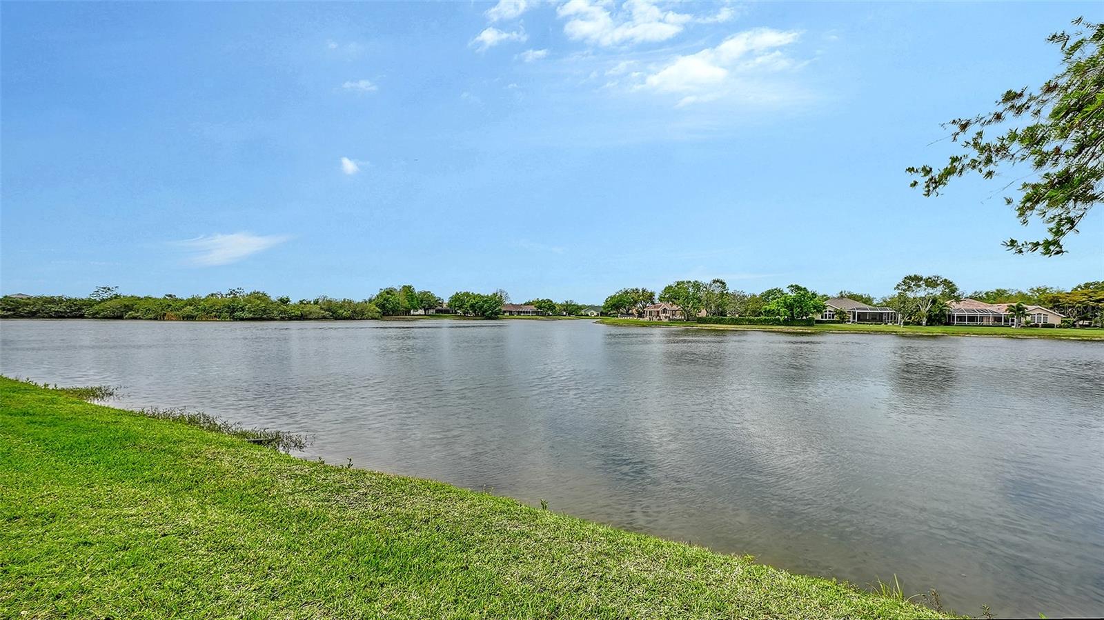 SERENOA LAKES - Residential