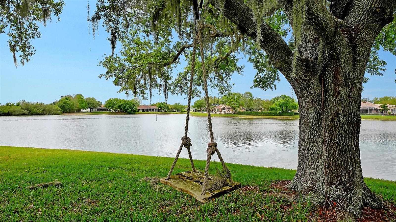 SERENOA LAKES - Residential