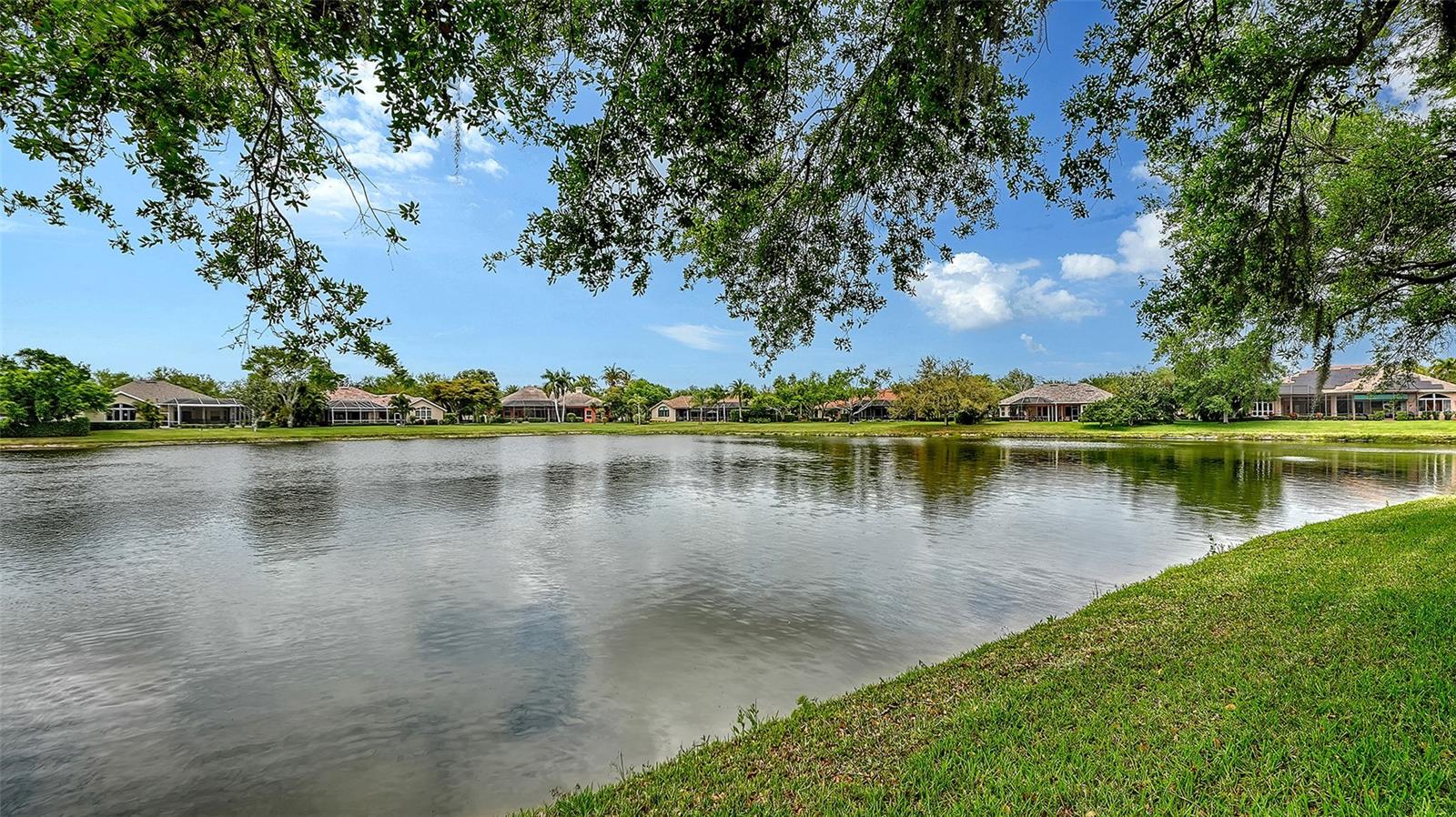 SERENOA LAKES - Residential