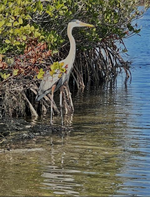 Tiny photo for 14211 W Saint Martins Road, Crystal River, FL 34429 (MLS # TB8446071)