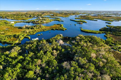 Tiny photo for 14211 W Saint Martins Road, Crystal River, FL 34429 (MLS # TB8446071)