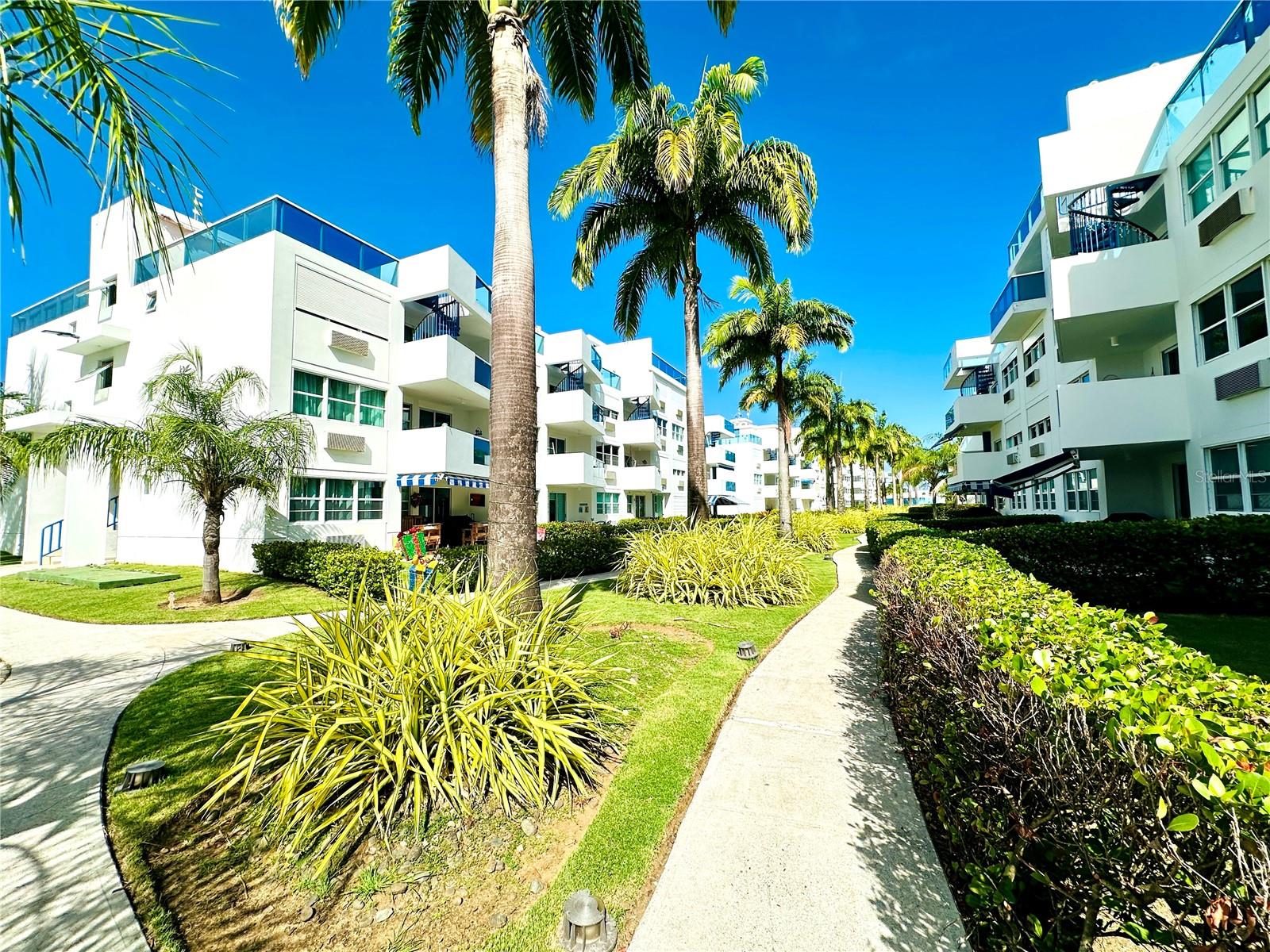 MEDIASNIA ALTA - Residential