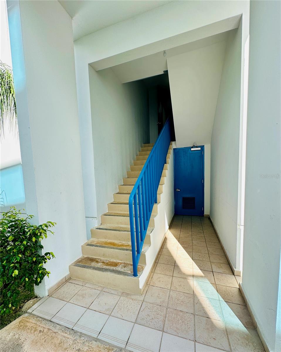 MEDIASNIA ALTA - Residential