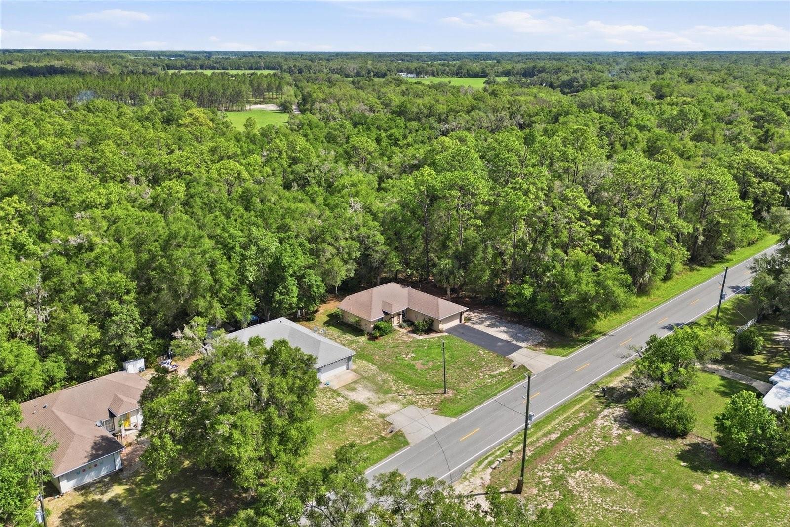 RAINBOW FOREST - Residential