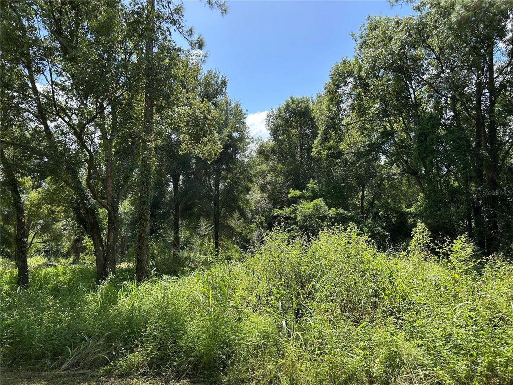 Photo of 38116 Hamrich Drive, Dade City, FL 33525 (MLS # TB8436486)