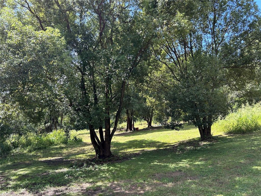 Photo of 38116 Hamrich Drive, Dade City, FL 33525 (MLS # TB8436486)