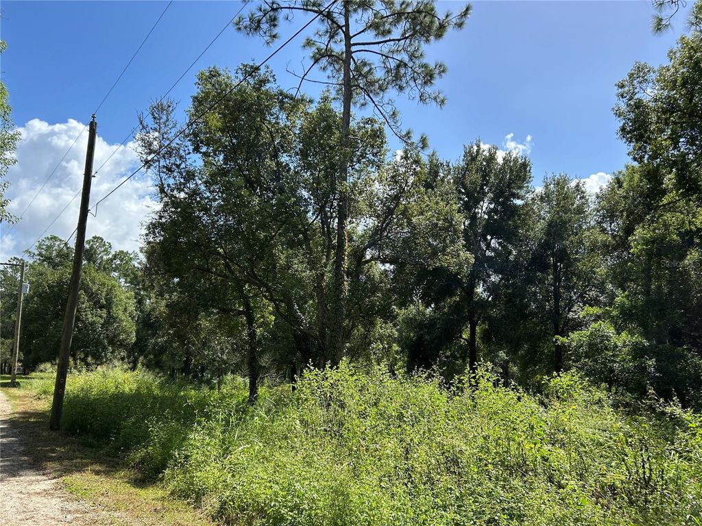Photo of 38116 Hamrich Drive, Dade City, FL 33525 (MLS # TB8436486)