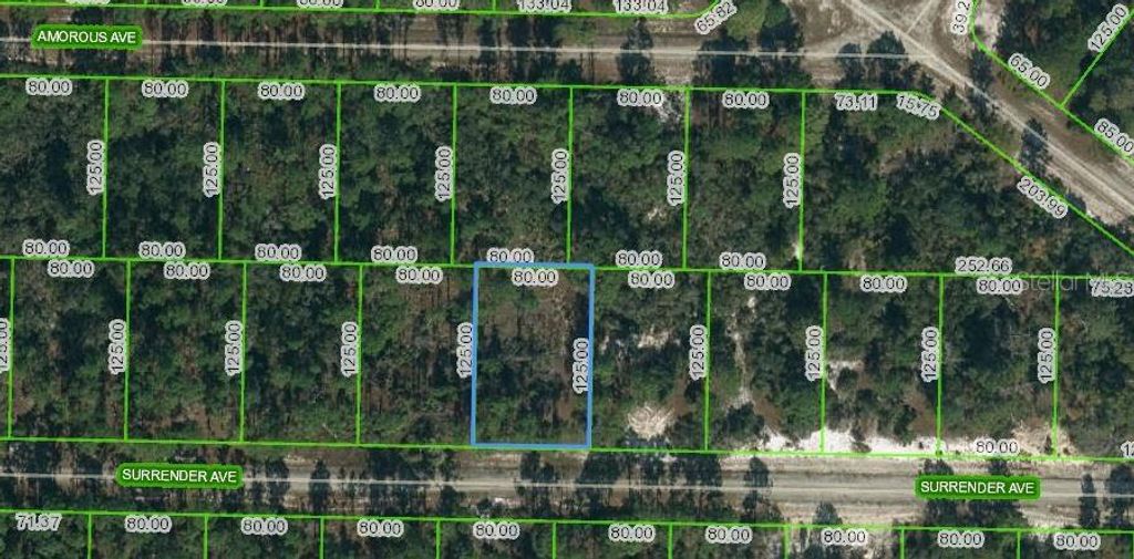 Photo of 420 Surrender Avenue, Lake Placid, FL 33852 (MLS # OM623716)
