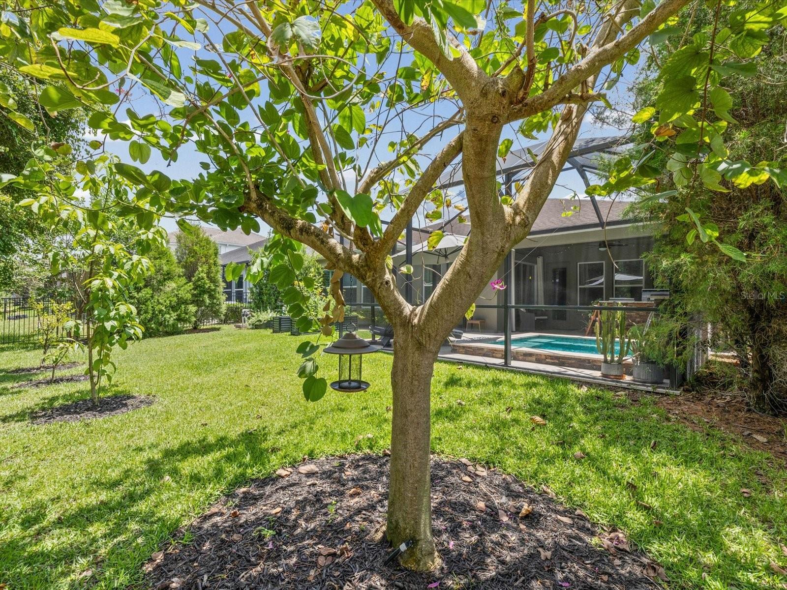 PROMENADE AT LAKE PARK PH - Residential