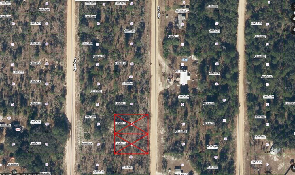 Photo of Guy, Interlachen, FL 32148 (MLS # NS1086259)