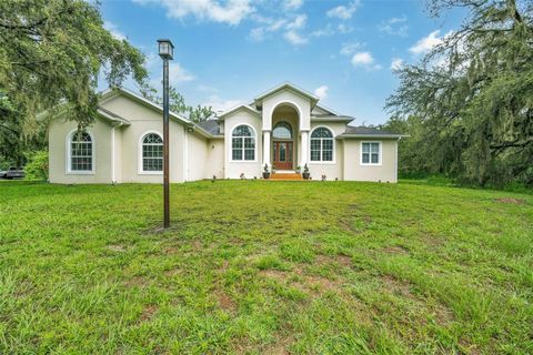 9824 BRANTLEY ROAD LITHIA FL 33547