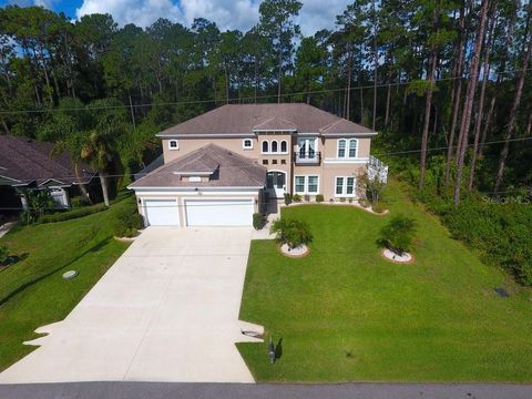 A home in PALM COAST