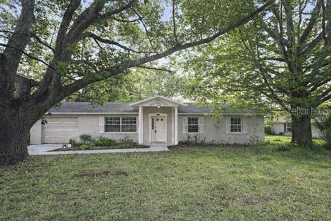 Photo of 11836 Orange Street, San Antonio, FL 33576 (MLS # TB8498380)