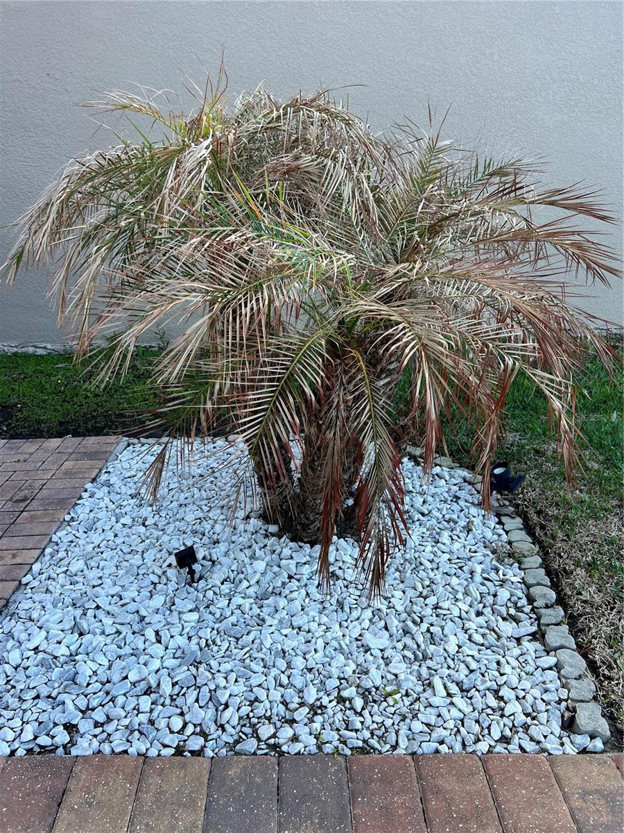 TAPESTRY PH 4 - Residential Lease