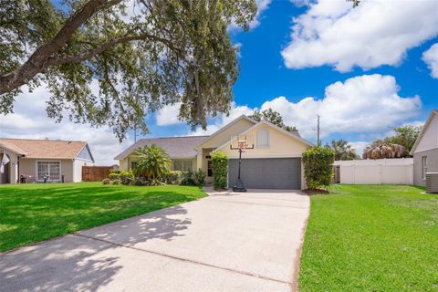 132 ROBBINS REST CIRCLE DAVENPORT FL 33896