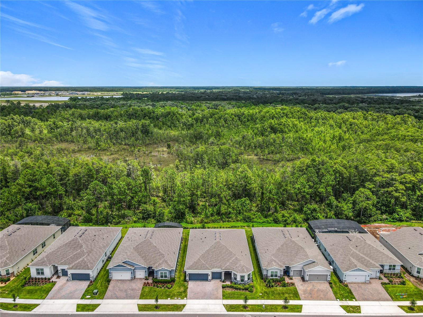 2441 PINE PRESERVE COURT